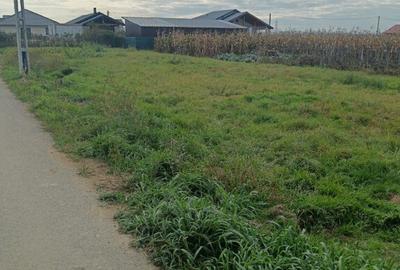 Mocira, 8 ari teren - 1