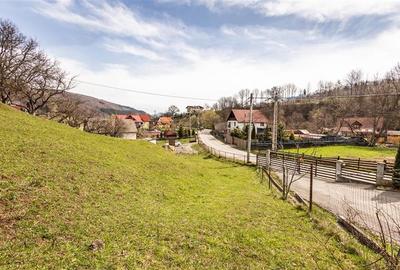 FILM! Pe 6.500mp teren + casa parinteasca, incantatoare pozitionare, acces facil - 15