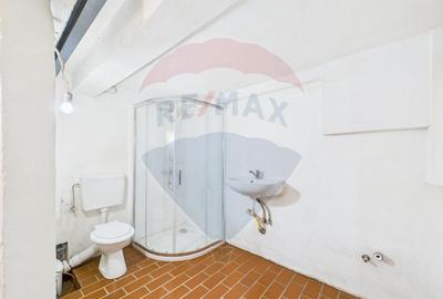 Spatiu comercial-Demisol-Atelier de arta - 5