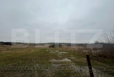 Teren de 1716 mp, în Priseaca