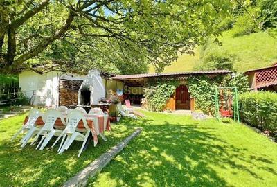 Acces facil si pozitionare sudica - 3