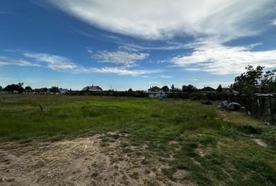 Teren intravilan 500mp Valu lui Traian - 3