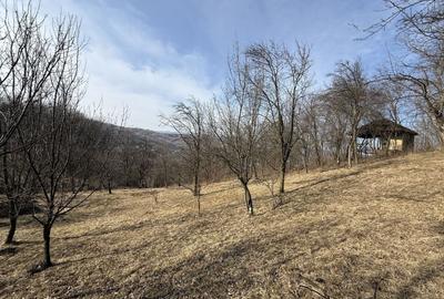 Teren Construcții intravilan de 2788 mp, în Central - 2