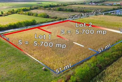 Teren de 11400 mp, în Finteușu Mare - 4