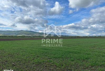 Spațiu comercial, în Oarda - 1