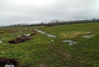 Spațiu comercial, în Hârsești - 4