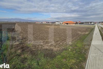 Teren de 14300 mp, în Ciugud - 5