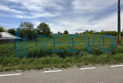 Teren de 5351 mp, în Roșiori - 5