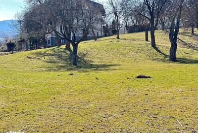 Teren de 10660 mp, în Bran - 10