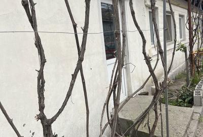 Casă cu 4 camere în Brestei - 5