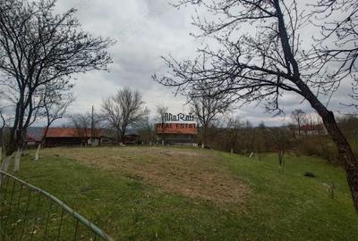 Teren de 9370 mp, în Țebea - 8