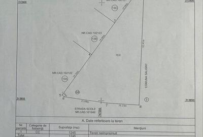 Spațiu comercial, în Făclia - 7
