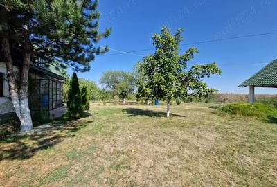 Casă cu 6 camere cu Teren 3000 Mp în Ruginești - 2