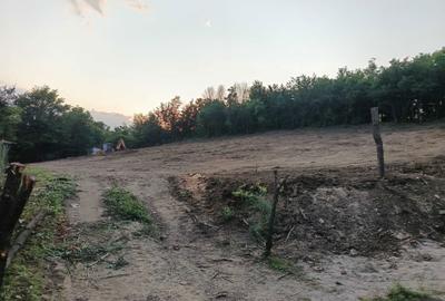 Spațiu comercial, în Nisipoasa - 4