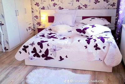 Casă cu 6 camere în Bran - 7