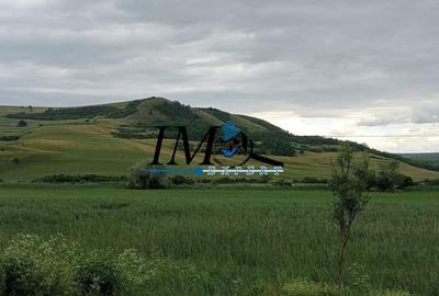 Teren de 2900 mp, în Șpring