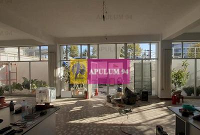 Centru de afaceri cu vad comercial - 6