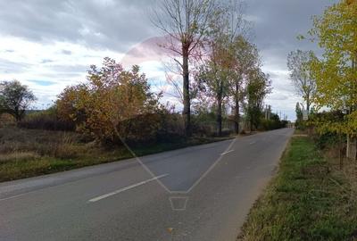 Teren 2,056mp Ciolpani - 10