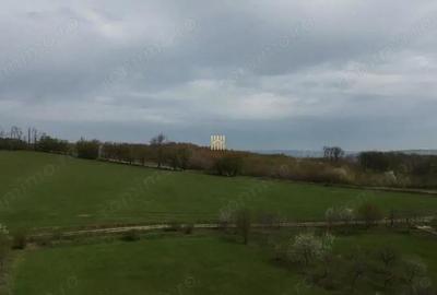 Teren de 5800 mp, în Mitocași - 3