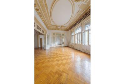 REV2000724 Vila deosebita Lascar Catargiu gradina mare - 4