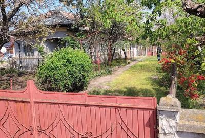 Casă cu Teren 1562 Mp în Osica de Sus