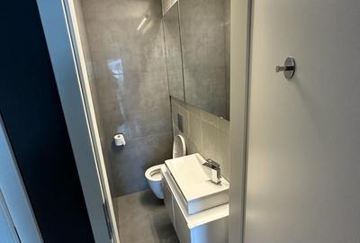 Inchiriere Penthouse Lux langa padure, Iancu Nicolae - 24