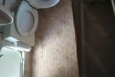 Casa pe roti-casa mobila - 3