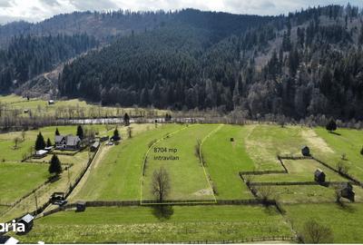 Teren de 8704 mp, în Vatra Moldoviței - 6