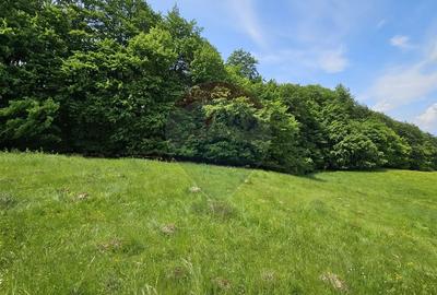 Teren agricol extravilan de 7000 mp, în Ilișești - 24