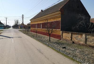 Casă cu 4 camere cu Teren 2900 Mp în Central - 6