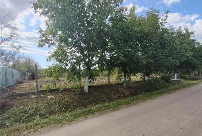 Teren de 2400 mp, în Săliște - 2