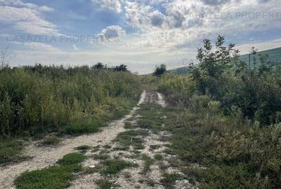 Teren 5.078 mp km 30 Bucuresti-Pitesti- 26.500 eur - 2