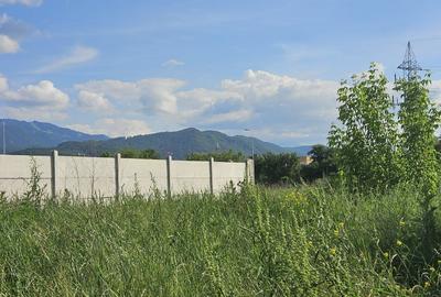 Teren Construcții intravilan de 511 mp, în Bartolomeu - 6