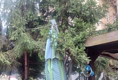 Casă individuală cu 5 camere cu Canalizare în Eminescu - 3