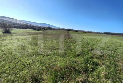 Teren intravilan de vanzare - 6