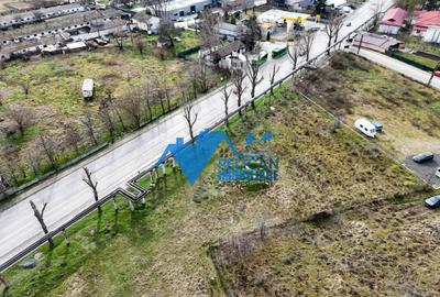 Teren intravilan - Str. Isaccei, 1000MP - 9