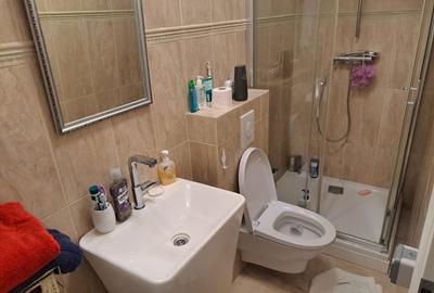 Drumul Sarii - Razoare, singur curte, constructie 2010semimobilata - 14