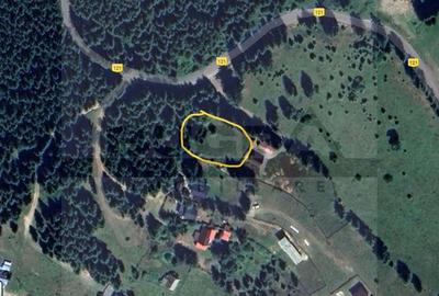 Teren intravilan, 1400 mp, Balcesti, Belis - 3