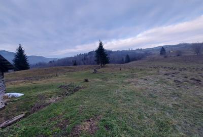 Teren agricol extravilan de 53360 mp, în Vama - 7