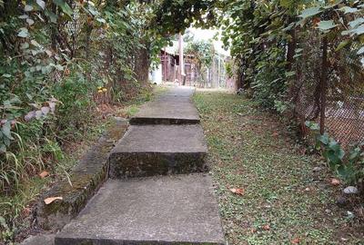 Casă cu 4 camere cu Teren 2700 Mp în Șișești - 3