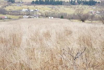 Teren de 50000 mp, în Central - 4