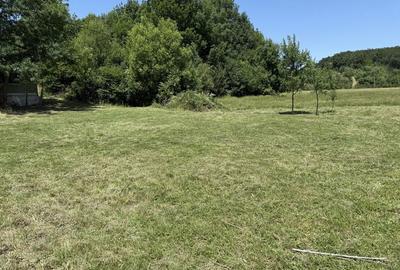 Spațiu comercial, în Pișchia