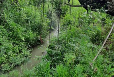 Teren de 4900 mp, în Boldești - 6