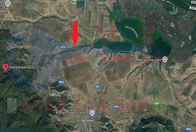 Teren de 11000 mp, în Niculițel