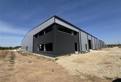 Inchiriere depozit/hala/spatiu industrial Mogosoaia - Buftea - 1
