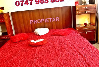 Direct Propietar! Prima inchiriere! Liber, recent renovat 100% Sos Mihai Bravu. - 4