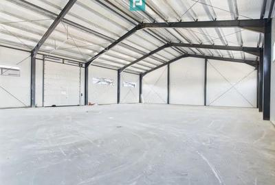 Hala industriala in zona Giarmata Timi? - 3