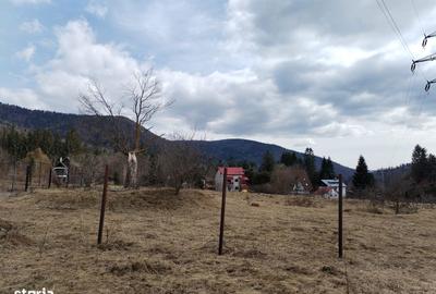 Teren de 841 mp, în Cumpătu - 2