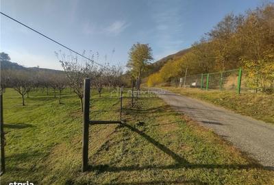 Spațiu comercial, în Slatina-Nera - 1