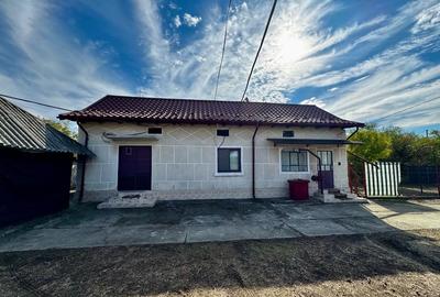 Casă de vânzare în Silisteni – 2 case, garaj, curte, grădină și livadă - 3